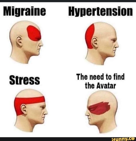 Atla Memes, Avatar The Last Airbender Funny, Avatar Funny, Avatar Series, The Last Avatar, Memes Lol, Avatar The Last Airbender Art, Team Avatar, Avatar Airbender