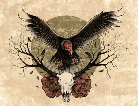 Vulture and skull Vulture Tattoo Design, Traditional Vulture Tattoo, Vulture Tattoo, Vulture Marvel, Stag Tattoo, Geography Project, Andean Condor, Sailor Jerry Tattoos, Vulture Culture