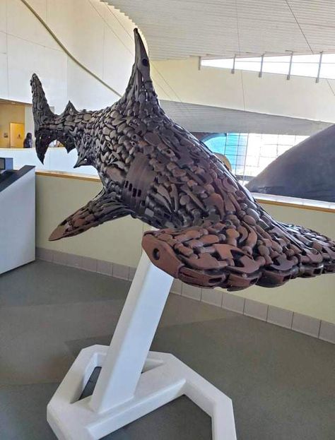 Hammer Heads, Illusion Kunst, Shark Sculpture, Shark Pictures, Hammerhead Shark, Sculpture Metal, An Animal, Really Funny Pictures, Sea Creatures