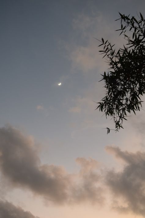 Evening Sky, Half Moon, Moon