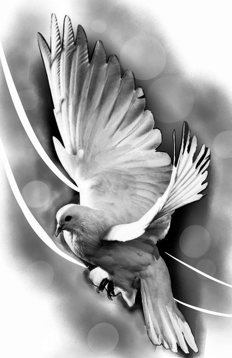 Dove Drawing Tattoo, Doves Tattoo Design, Paloma Tattoo, Doves Tattoo, Dove Photo, Religous Tattoo, Arm Cover Up Tattoos, Dove Drawing, Half Sleeve Tattoo Stencils