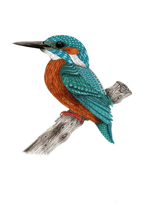 Miniature Kingfisher art prints for nature lovers, Small gift for bird lovers Kingfisher Illustration, Kingfisher Art, Kingfisher Bird, Personalized Art Print, Bird Artwork, Bird Supplies, Bird Art Print, Personalize Art, Bird Illustration