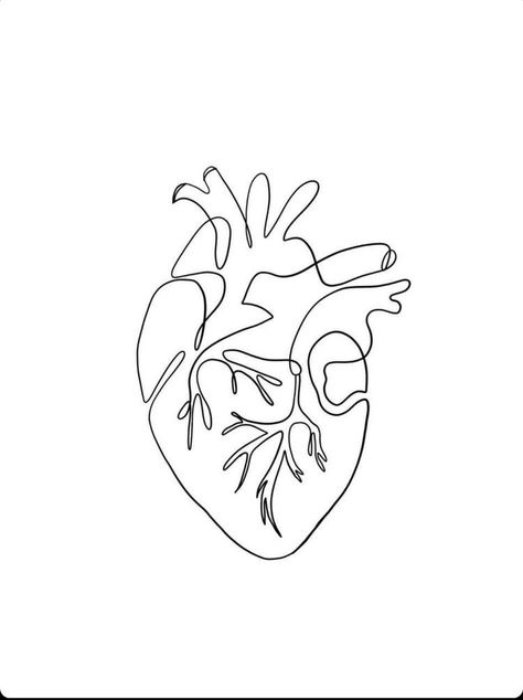 Anatomical Heart Line Tattoo, Anatomical Heart Line Art, Anatomical Heart Line Drawing, One Line Heart Tattoo, Medical Line Art, Anatomic Heart Drawing, Small Anatomical Heart Tattoo, Heart Tattoo Anatomical, One Line Drawing Heart