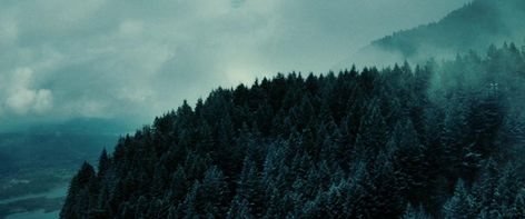 Twilight – [FILMGRAB] Forks Twilight, Wallpaper Pc 4k, Google Backgrounds, Swan Aesthetic, Catherine Hardwicke, Twilight Core, Dark Academia Wall, Twilight Aesthetic, Twilight 2008