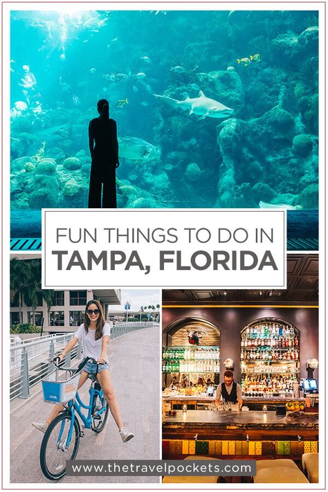 Things To Do In Tampa, Tampa Riverwalk, Travel Florida, Florida Travel Guide, Busch Gardens Tampa, Tampa Bay Florida, Florida Destinations, Places In Florida, Ybor City