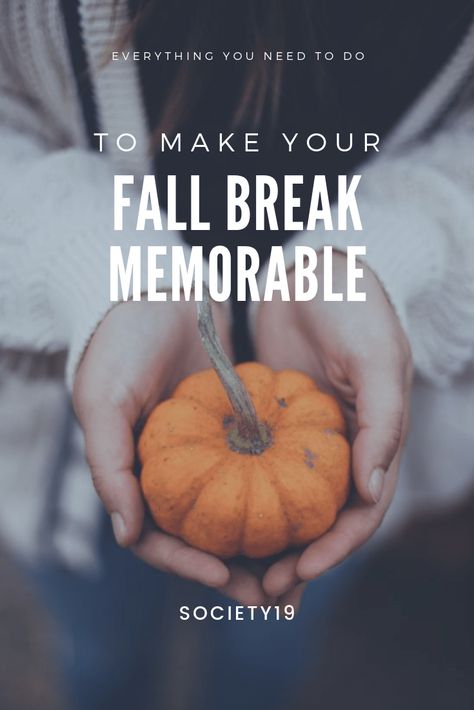 Everything You Need To Do To Make Your Fall Break Memorable - Society19 Best Spotify Playlists, College Life Hacks, College Quotes, College Roommate, College Organization, College Aesthetic, Fall Break, Workout Playlist, Days Like This