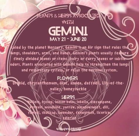 Herbs For Gemini, Herbs Of Gemini, Plant Magick, Zodiac Aesthetic, Gemini Moon, Gemini Life, Witch Core, Green Witchcraft, Astrology Gemini