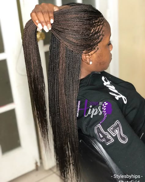 Micro Senegalese Twist Braids, Sangita Braids Hairstyles, Micro Senegalese Twist, Grey Hair Braids, Micro Braids Styles, Micro Braids Hairstyles, Braided Twist, Cornrows Natural Hair, Senegalese Twist Hairstyles