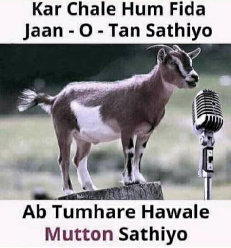 Bakrid Status, Eid Jokes, Ramzan Eid, Funny Picture Gallery, Eid Mubarik, Very Funny Images, Funny Dp, Super Funny Pictures, Adha Mubarak