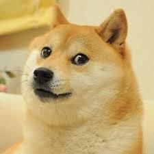 Square Doge Blank Meme Template Doge Dog, Doge Meme, Meme Show, Fotografi Digital, Slenderman, Top Memes, Comic Sans, Know Your Meme, Fan Fiction