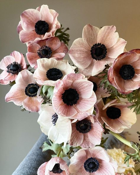 Anemone Flower Aesthetic, Bridal Bouquet Anemone, Anemone Flower Bouquet, Blush Anemone, Wedding Anemone, Anemone Bridal Bouquet, Wedding Recipes, Toffee Roses, Anemone Wedding