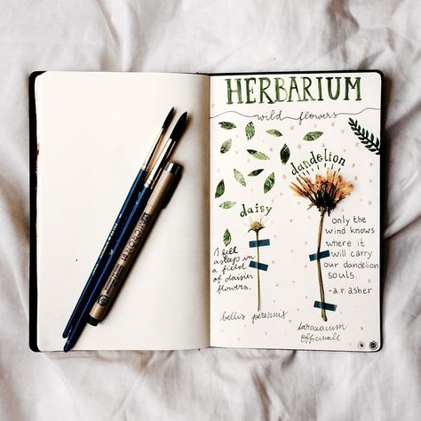 A DIY herbarium by Claire! Find her on Instagram as claire_water76 Diy Herbarium, Pressed Flower Crafts, Creation Art, Garden Journal, Creation Deco, Pressed Flower Art, Nature Study, Botanical Drawings, Nature Journal