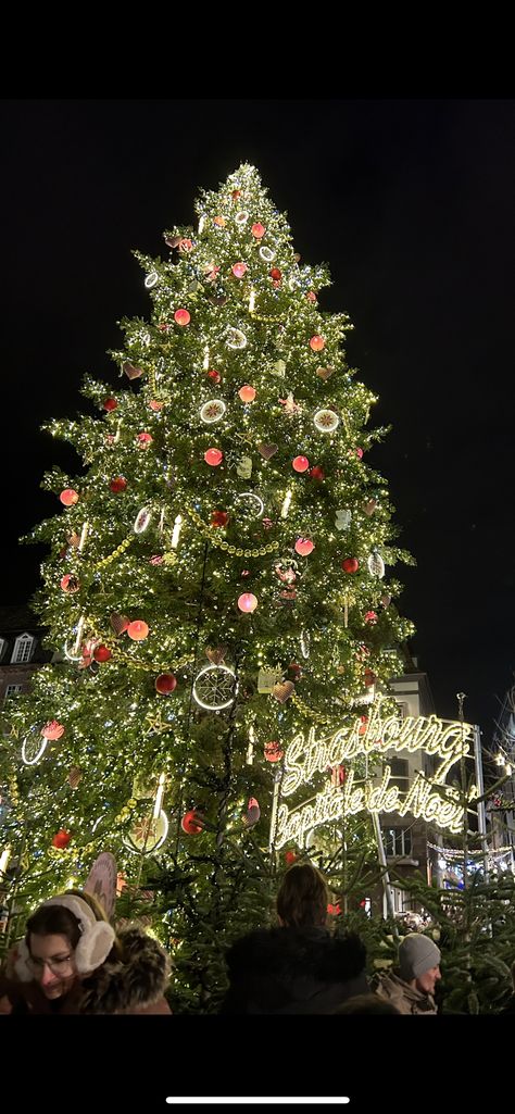 German Christmas Tree, Germany Christmas, Cities In Germany, German Christmas, Dusseldorf, Christmas Vibes, Winter Wonderland, Things To Do, Germany