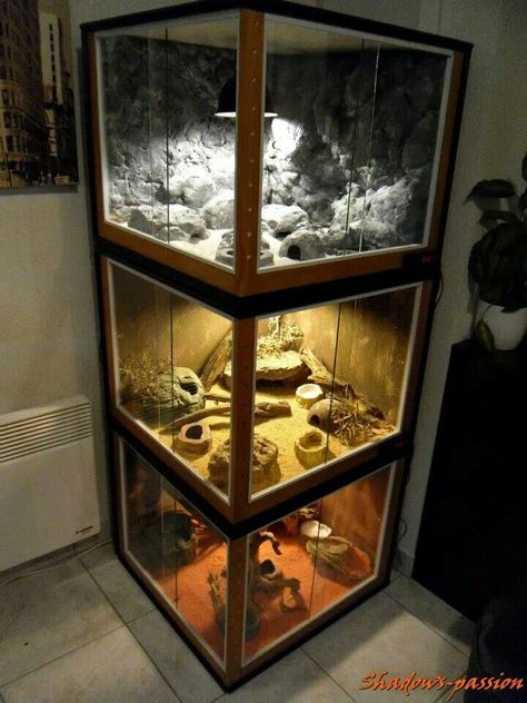 Love. Stacked reptile enclosures Glass Terrarium Ideas, Reptile Tanks, Snake Cages, Terrariums Diy, Diy Reptile, Snake Terrarium, Bearded Dragon Enclosure, Bearded Dragon Cage, Snake Enclosure