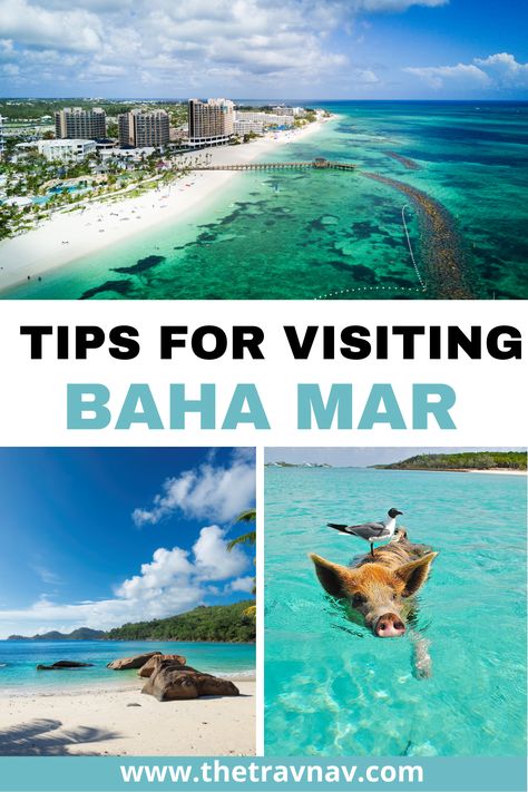 Are you thinking of heading to Baha Mar? Learn the ins and outs of Baha Mar from where to eat, where to stay, and what to do! Bahamas Excursions, Baha Mar, Atlantis Bahamas, Bahamas Vacation, Foreign Travel, Caribbean Vacations, The Bahamas, Island Travel, Nassau