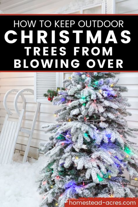 How to keep outdoor Christmas trees from blowing over with tips for securing it well. It’s fun to decorate your porch and yard for Christmas with real or artificial Christmas trees but no fun when they keep blowing over! #Christmas #Christmastips #Christmastrees #Christmasdecorating #homesetadacres Fake Christmas Trees Outside, Outdoor Christmas Trees On Porch, Decorating Outdoor Christmas Trees, Porch Trees Christmas, Outdoor Christmas Tree On Porch, Outdoor Christmas Trees, Outdoor Xmas Tree, Fake Xmas Tree, Decorating Your Front Porch