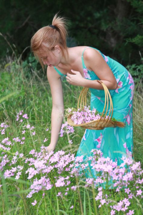 <3 Women Picking Flowers, Someone Picking Flowers, Person Picking Flowers Reference, Picking Flowers Illustration, Picking Up Pose Reference, Person With Flowers Reference, Picking Up Something Pose Reference, Person Picking Flowers, Picking Something Up Reference