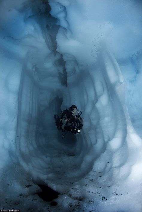 Ice diving in Sassolo Lake, Switzerland Underwater Caves, Fauna Marina, Underwater Pictures, Sea Diving, Deep Sea Diving, Cave Diving, Scuba Gear, Life Aquatic, Diving Gear