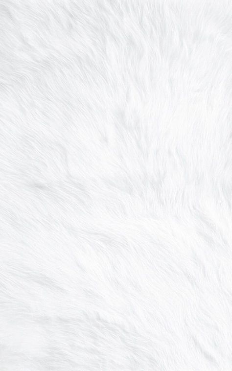 White Background Plain, Blank Wallpaper, Plain Wallpaper Iphone, White Wallpaper For Iphone, White Background Wallpaper, Fur Texture, Phone Screen Wallpaper, Plain Wallpaper, A Wallpaper