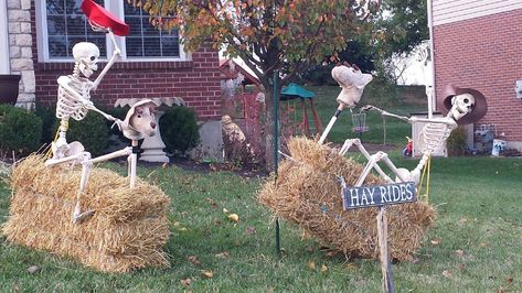 Skeleton Yard Display, Skeleton Scenes, Skeleton Decorations Outdoor, Skeleton Memes, Skeleton Poses, Time Decorations, Halloween Comics, Skeleton Ideas, Halloween Camping