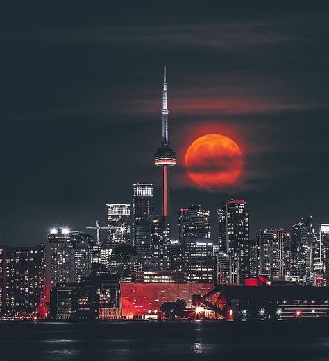 Toronto Pictures, City Lights Wallpaper, Toronto Photography, Toronto Skyline, Apartment View, Canada Photography, Toronto City, City Scape, Night Photo