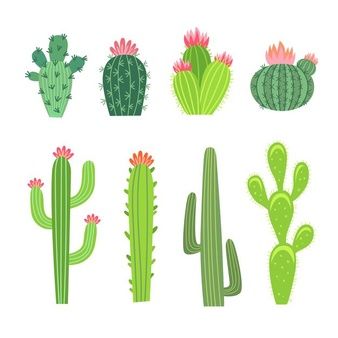 Cactus Flower Painting, Mexico Cactus, Cactus Images, Map Sketch, Cactus Vector, Arizona Cactus, Cactus Illustration, Skeleton Sticker, Small Cactus