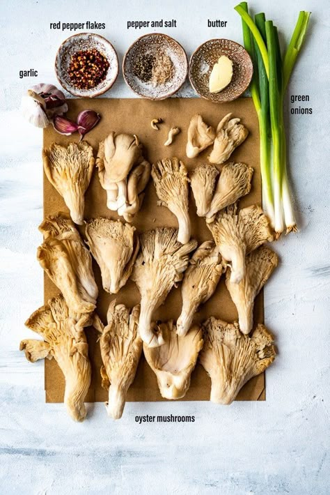 Fried Oyster Mushrooms make a perfect appetizer #mushroomrecipe #oyster mushrooms Pink Oyster Mushroom Recipe, Fresh Mushrooms Recipes, Fried Oyster Mushrooms, Oyster Mushroom Recipe, Fried Oyster, Vegetarian Snack, Cooked Oysters, Mushroom Recipe, Fried Oysters