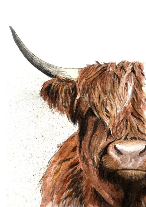 Hi Land Cow Painting, Animal Oil Painting Realistic, Highland Cow Canvas Paintings, Hiland Cow Painting, High Land Cow Drawing, Highland Cow Watercolour Paintings, Hyland Cow Painting, Watercolour Highland Cow, Highland Cow Painting Tutorial