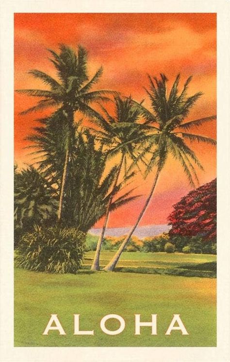 Sunsets Hawaii, Hawaiian Travel, Hawaii Wall Art, Hawaii Vintage, Palm Tree Wall Art, Palm Tree Art, Hawaiian Culture, Vintage Hawaii, Island Art