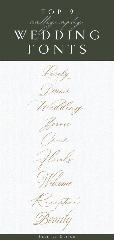 Fonts For Wedding Invitations, Best Calligraphy Fonts, Wedding Fonts Calligraphy, Best Calligraphy, Caligraphy Font, Wedding Invitation Fonts, Free Calligraphy Fonts, Wedding Script, Brush Script Fonts