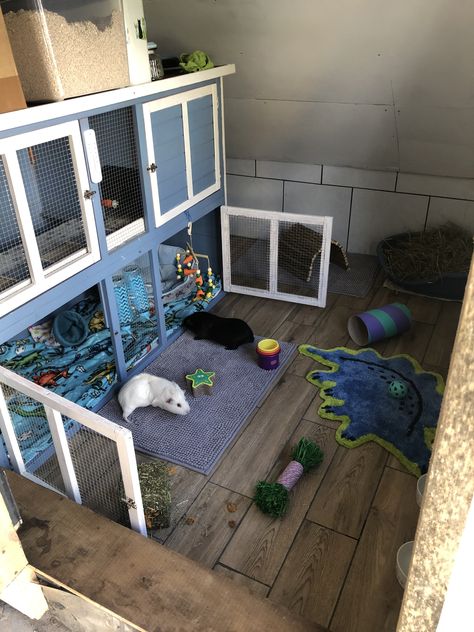 Guinea Pig Hutch Outdoor, Guinea Pig Shed Ideas, Guinea Pig Cage Ideas Outdoor, Rabbit Shed, Diy Guinea Pig Cage, Pig Ideas, Guinea Pig Hutch, Pet Shed, Guinea Pig House