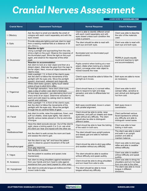 Health Assessment Nursing, Neurological Assessment, Emt Study, Nursing Cheat Sheet, Np School, Nursing Cheat, Nursing Assessment, Nurse Study Notes, Nursing Student Tips