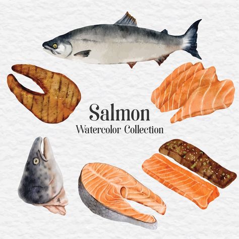 Watercolor Salmon, Salmon Illustration, Meat Illustration, Salmon Art, Watercolor Fish, Watercolor Food, Fish And Meat, Cooking Salmon, Meat Cuts