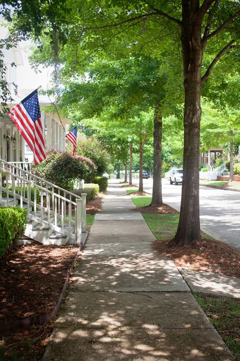 A STROLL THROUGH THEIR NEIGHBORHOOD.