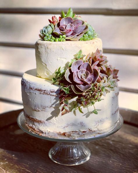 Cactus Wedding Cake, Wedding Cake Forest, Succulent Wedding Table, Vintage Wedding Table Settings, Succulent Wedding Cakes, Wedding Cake Simple Elegant, Succulent Design, Succulent Cake, Vintage Wedding Table