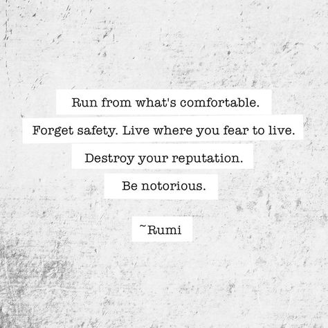 Run from what's comfortable. Forget safety. Live where you fear to live. Destroy your reputation. Be notorious. -Rumi Quote #quote #quotes #quoteoftheday Break Up Ideas, Lightworker Quotes, Rumi Love Quotes, How To Move Forward, Kelly Brook, Rumi Quotes, Perfection Quotes, Trendy Quotes, Quotes About Moving On