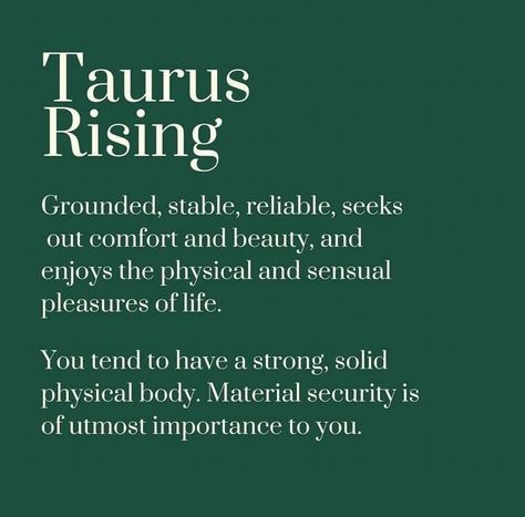 Taurus Rising Aesthetic, Uranus In Capricorn, Virgo Style, Rising Aesthetic, Taurus Ascendant, Taurus Rising, Pluto In Scorpio, Gemini Sun, Neptune In Capricorn