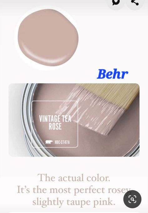 Behr Ballet Rose, Dusty Pink Behr Paint, Rosy Beige Paint Color, Muddy Blush Paint Color, Vintage Tea Rose Paint Behr Living Room, Dust Bunny Paint Color, Muted Rose Paint, Behr Dusty Rose Paint Colors, Tea Rose Paint Color