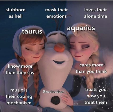 Aquarius And Taurus, Taurus Zodiac Quotes, Taurus Memes, Funny Truths, Taurus And Aquarius, Aquarius Truths, Aquarius Life, Taurus Zodiac Facts, Taurus Quotes