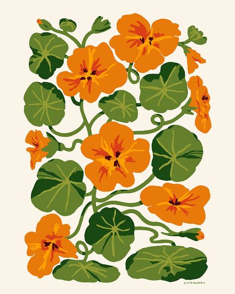 Nasturtiums I Print Bright Colorful Art Prints, Retro Plant Illustration, Vintage Gardening Illustration, Eclectic Wall Prints, Pot Plant Illustration, Art Deco Flowers Illustration, Gen Z Wall Art, Retro Flower Painting, Nasturtium Painting