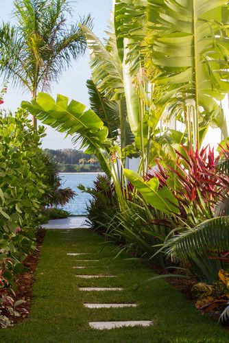 Tropical Landscape Design, Pictures, Remodel, Decor and Ideas Tropical Plants And Flowers, Tropical Backyard Landscaping, Design Per Patio, Tropical Landscape Design, British West Indies, Tropical Garden Design, Tropical Backyard, Tropical Gardens, Boundary Walls