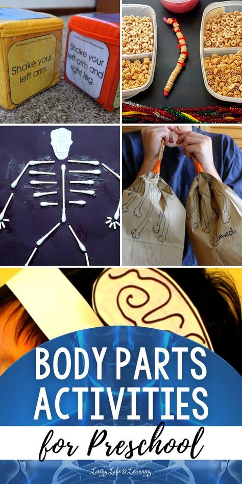 With these engaging Body Parts Activities For Preschool, your child will be able to learn about their bodies in a way that's both interesting and educational! Perfect addition to your homeschool human body lesson. Body Art Projects Preschool, Preschool Body Theme Activities, Edible Human Body Activities, Human Body Puzzle Printable, Human Body Activities For Kindergarten Lesson Plans, Human Body Steam Activities, Human Body Lesson Plans For Preschool, Human Body Activities For Toddlers, Body Part Activity For Toddlers