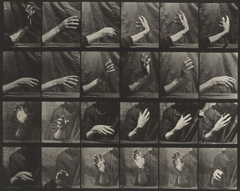 Eadweard J. Muybridge. Movement of the Hand, Beating Time: Plate 535 from Animal Locomotion. 1884-86 | MoMA Eadweard Muybridge, Animal Movement, Hand Gestures, Framed Postcards, Museum Of Fine Arts, Art Google, Canvas Pictures, Culture Art, Photographic Prints