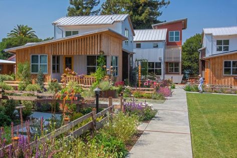 Eco Village Community, Corrugated Wall, Old Style House, Corrugated Metal Wall, Metal Roof Panels, Metal Wall Panel, Tiny House Community, Live Oak Trees, Metal Siding