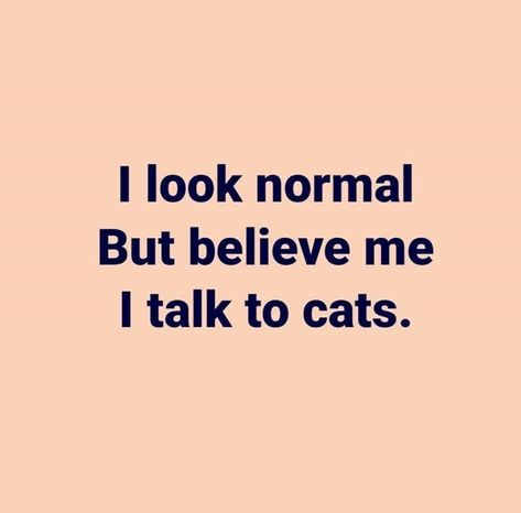 I Look Normal But... Cat Person Quotes, Cat Lover Quote, Cat Facts, Cat Quotes, Cat Person, Crazy Cat Lady, Cat Mom, Crazy Cats, Cat Love