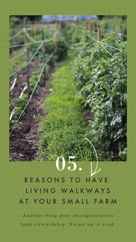 Regenerative Gardening At Home, Small Acreage Farm, Regenerative Farming Design, Regenerative Farming Backyard, Farm Gardens Country, Pasture Garden, Small Farm Layout, Flower Farm Layout, Hobby Farms Layout