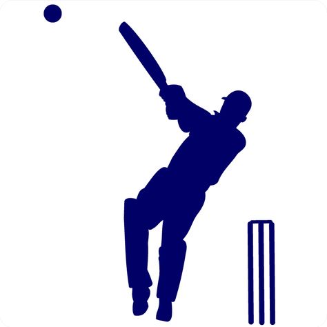 Cricket Stumps, Cricket Theme Cake, Badminton Photos, Boy Sports Bedroom, Cricket Logo, Cricket Coaching, Birthday Morning Surprise, Cricket Poster, Cricket Wallpapers