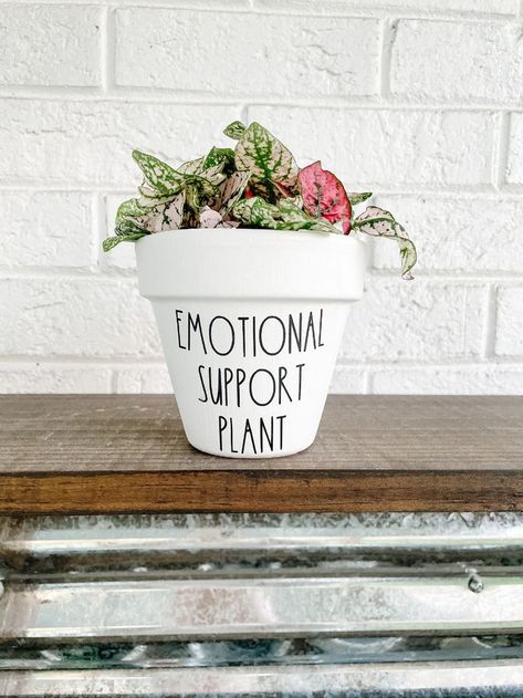 Painted Pot Inspiration, Funny Plant Pots, Plant Puns, Plant Pot Design, Plant Pot Diy, Painted Pots Diy, Flower Pot Crafts, Matte Paint, Painted Flower Pots