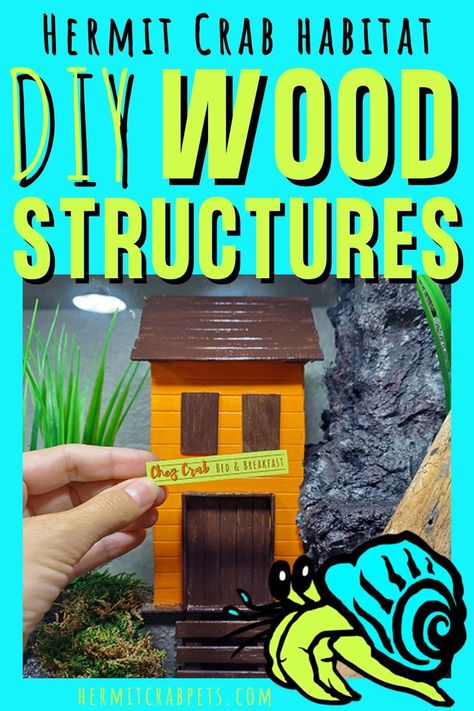 Diy Hermit Crab Habitat, Hermit Crab Habitat Ideas, Crab Habitat, Hermit Crab Habitat, Structure Paint, Wood Structure, Hermit Crab, Diy Wood, Wood Diy