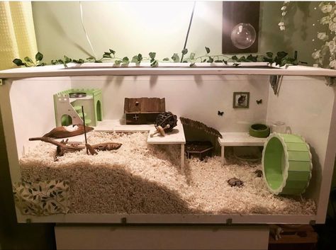 Linnmon hamster cage Fancy Hamster Cage, Hamster Cage Layout Ideas, Gerbil Tank Ideas, Hamster Fish Tank Cage, Niteangel Hamster Cage Setup, Cottage Core Hamster Cage, Modern Hamster Cage, Storage Bin Hamster Cage, Good Hamster Cage